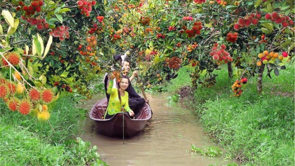 Khám phá Khu du lịch vườn trái cây Mỹ Khánh