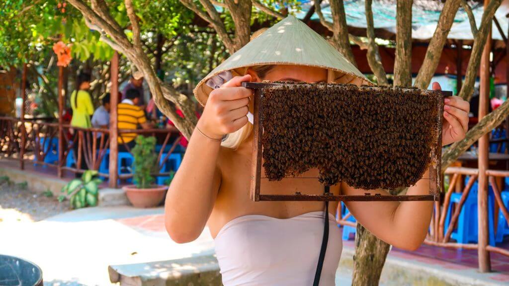 Tham quan trại nuôi ong mật trên Cù Lao Thới Sơn