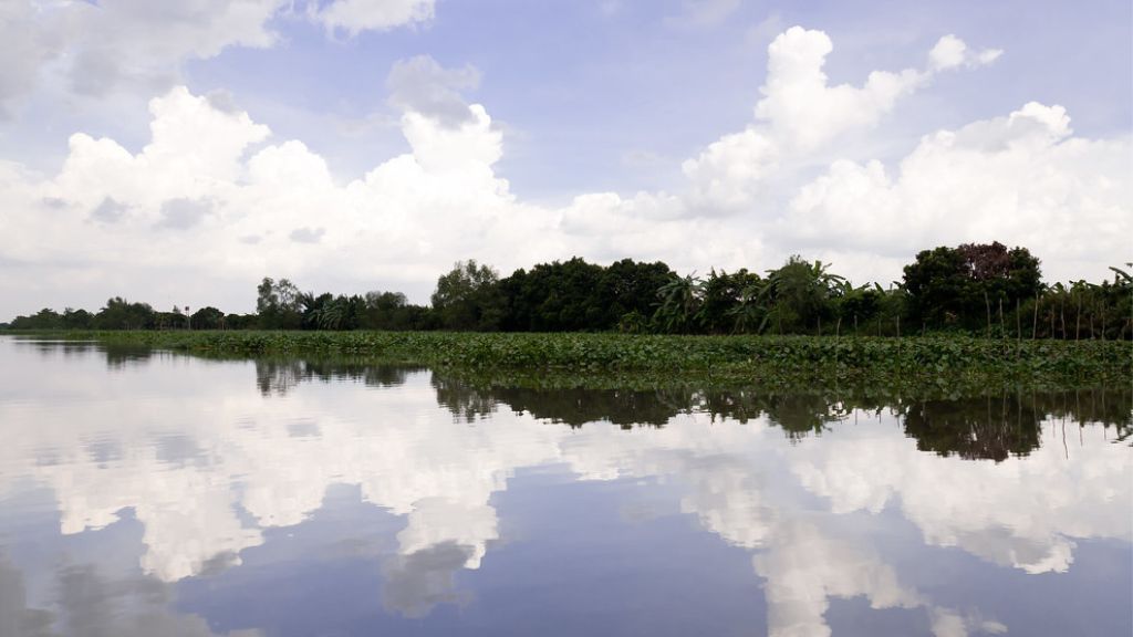 Sông Tiền mênh mông, hài hòa