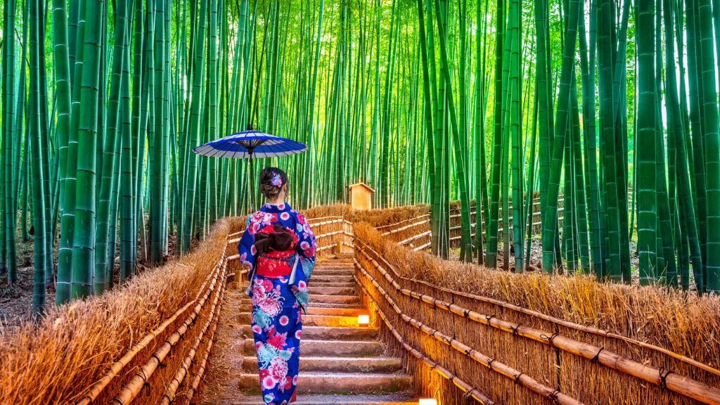 Rừng tre Sagano – Dạo bước giữa những thân tre xanh mát