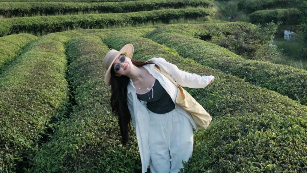 Tham quan tại Vườn Trà Long Tĩnh