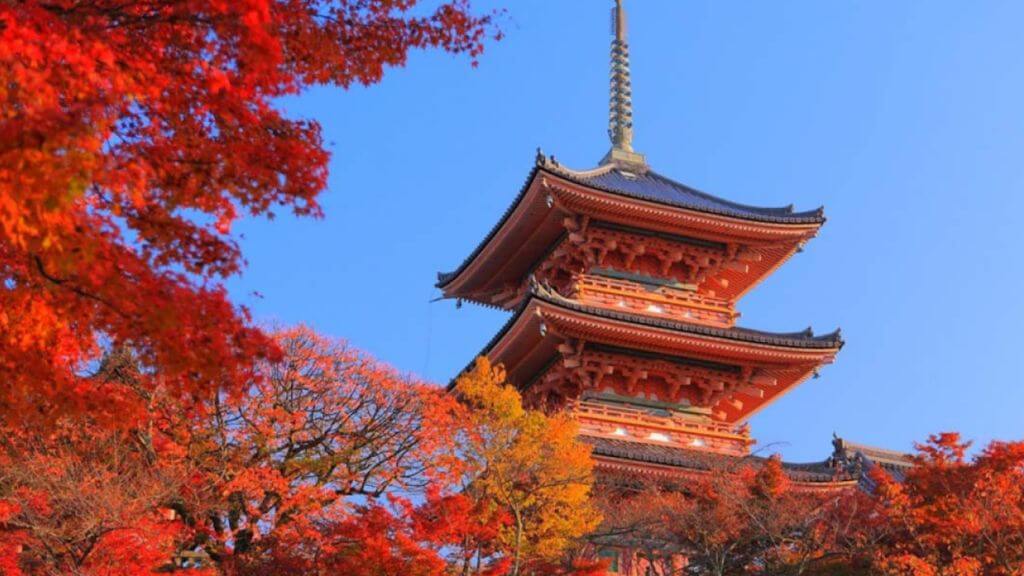 Chùa Asakusa tràn ngập lá đỏ mùa thu