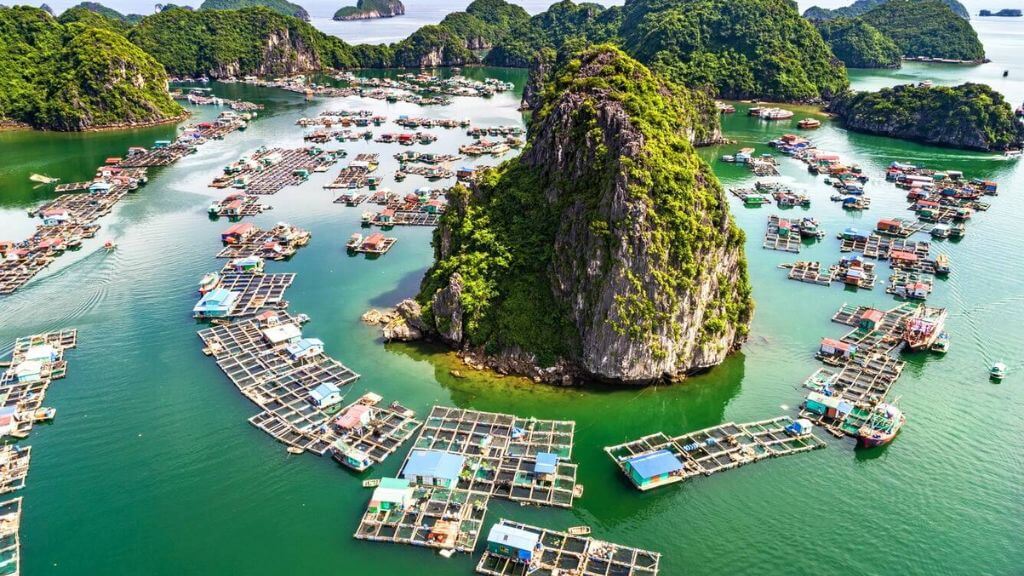 Bến Bèo xanh thẳm đầy xinh đẹp