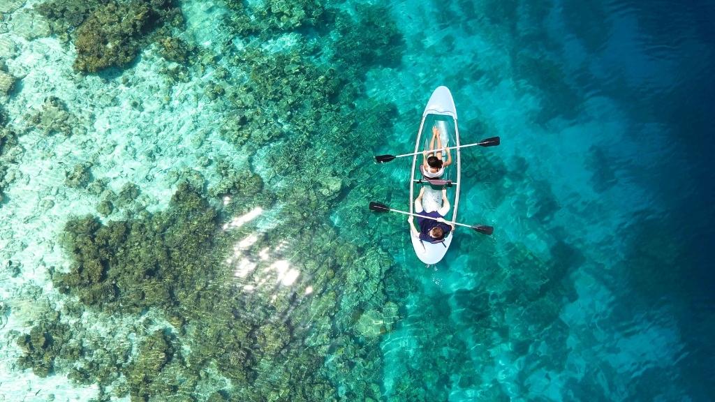 Thoả sức chèo thuyền Kayak giữa lòng đại dương