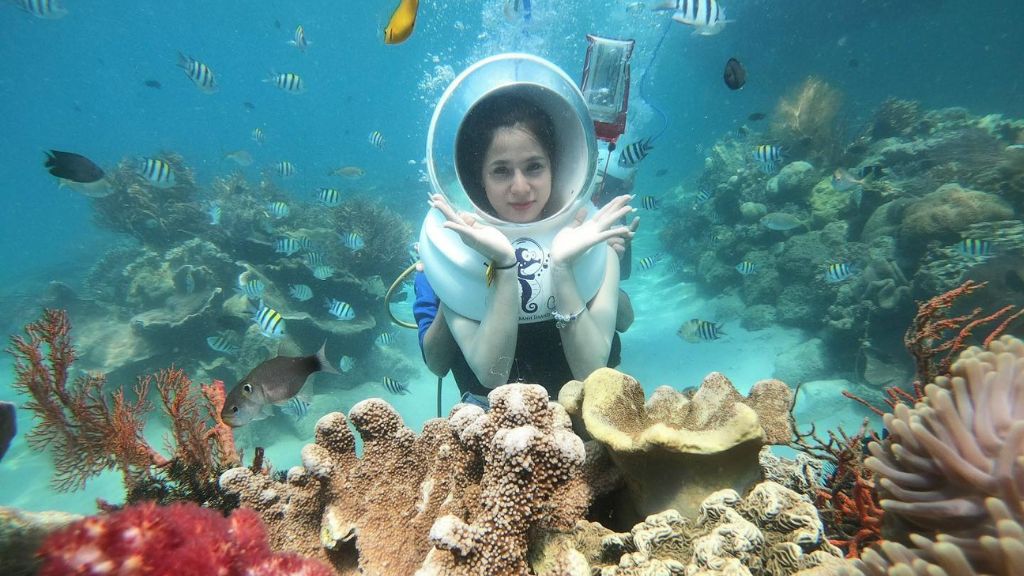 Khách du lịch Nha Trang trải nghiệm lặn ngắm san hô