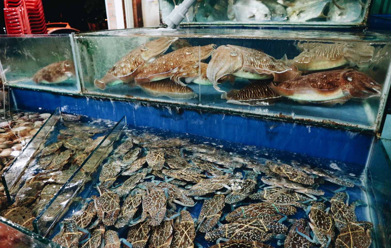 Hải sản Nha Trang