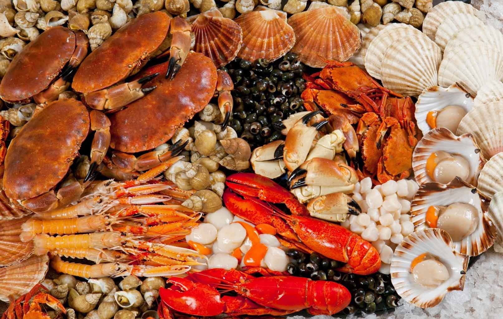 Thưởng thức hải sản
