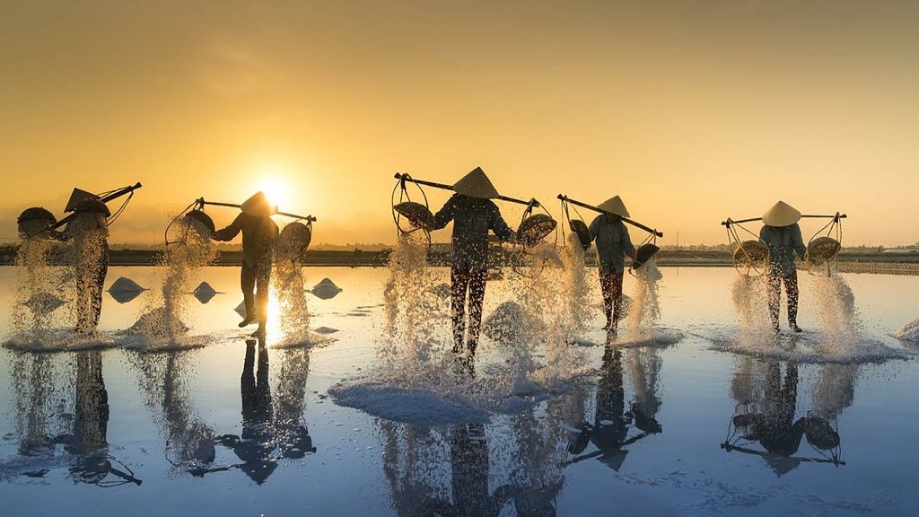 Ruộng Muối Ninh Hải