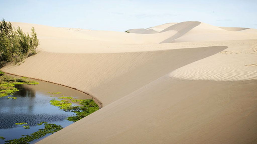 chiêm ngưỡng phong cảnh đồi cát Mũi Né hoang sơ