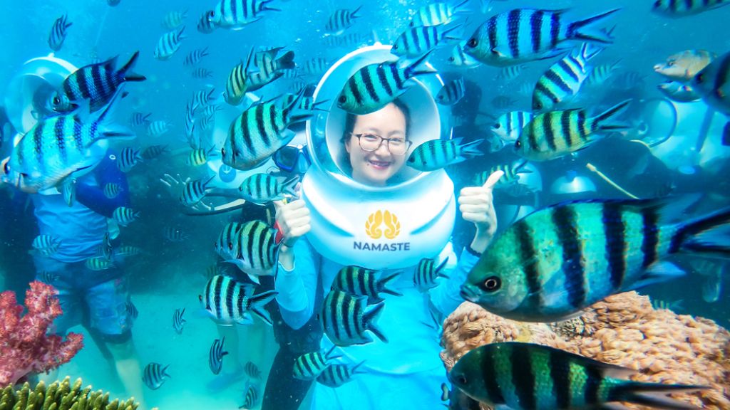 Dịch vụ Seawalker