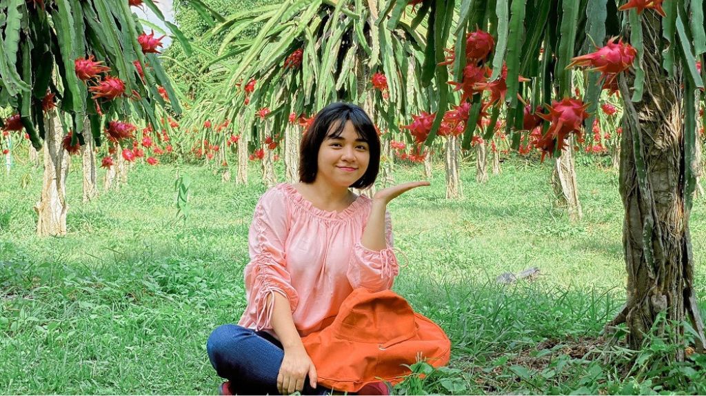 Du khách chụp ảnh chekin tại vườn thanh long