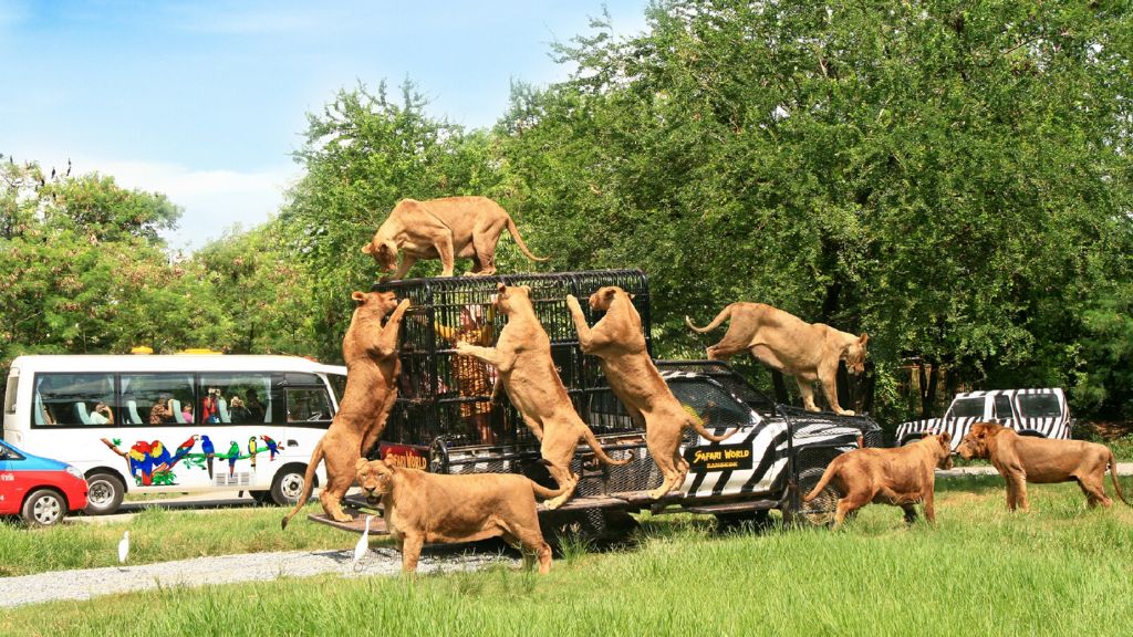 Khu nuôi thú hoang dã tại Safari Bangkok