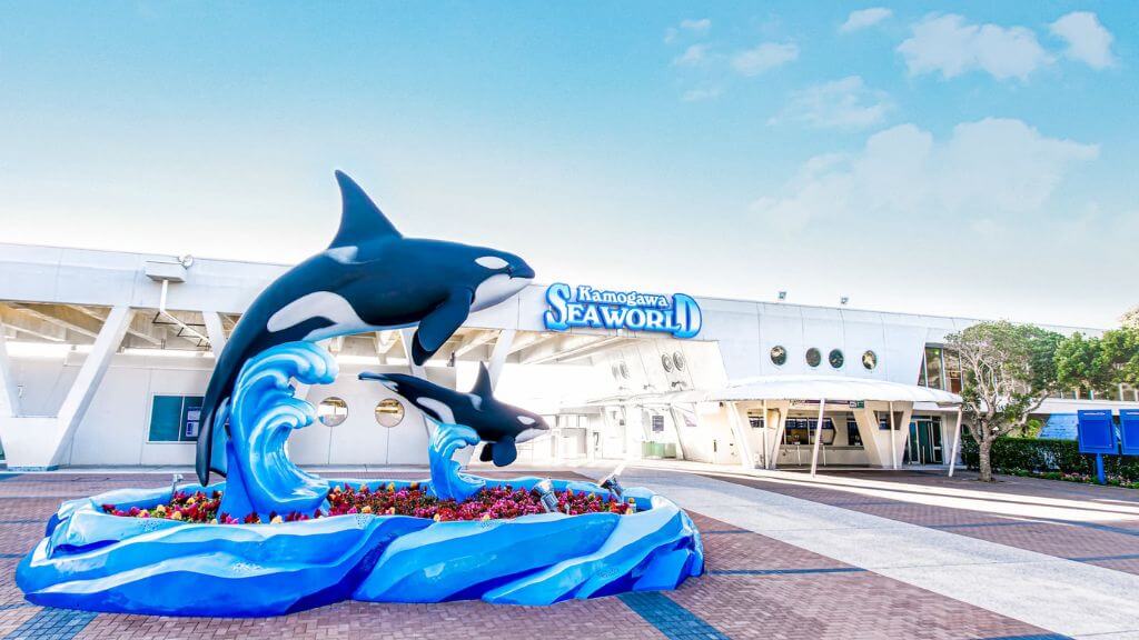 Rộn Rã Hè Nhật Bản 5N4Đ Yamanashi - Tokyo Disneyland - Thủy Cung Kamogawa Seaworld  Bay Vietnam Airlines