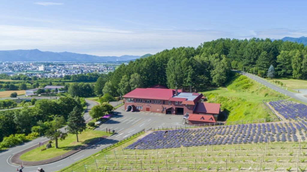 Đoàn khám phá Furano Winery – xưởng rượu vang nổi tiếng giữa vùng đồi nho xanh mát