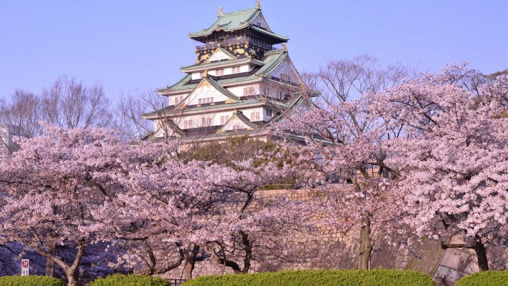 Lâu đài Osaka thơ mộng bên hoa anh đào