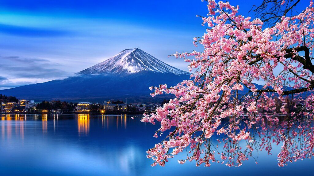 Núi Phú Sĩ tráng lệ bên hoa anh đào