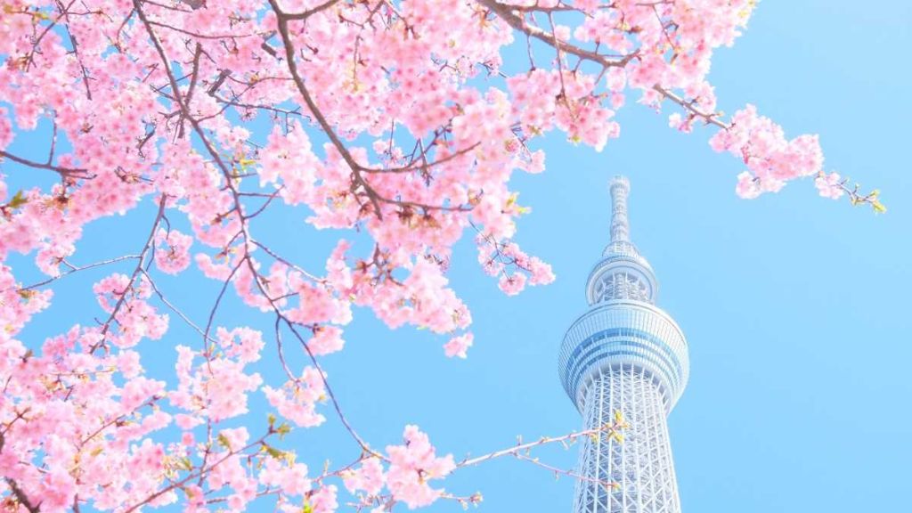 Tokyo Skytree   Biểu tượng của Tokyo