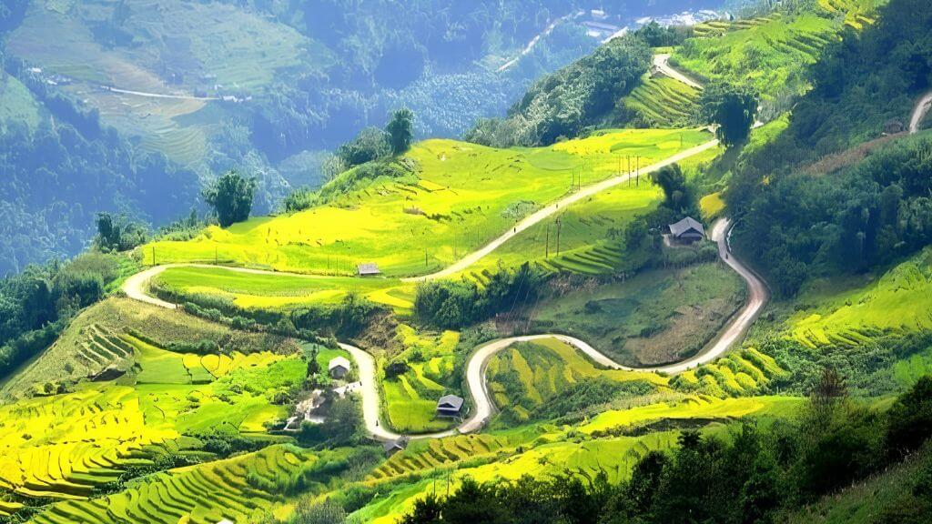 Chinh phục đèo Khau Phạ – cung đèo hùng vĩ bậc nhất Tây Bắc