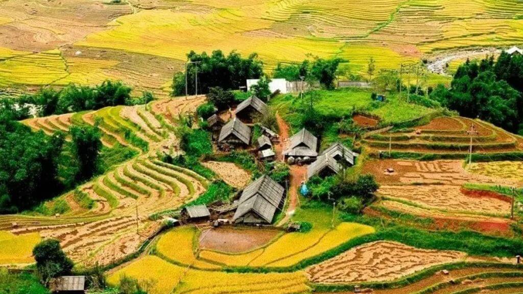 Ngắm nhìn thung lũng Mường Hoa – bức tranh ruộng bậc thang tuyệt đẹp giữa lòng Sapa