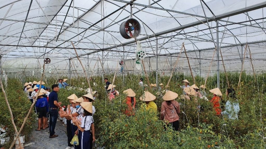 Du khách tham quan Nông trại Phan Nam