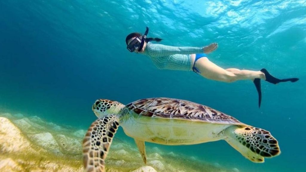Cùng du khách lặn ngắm san hô và check in tại Khai Islands