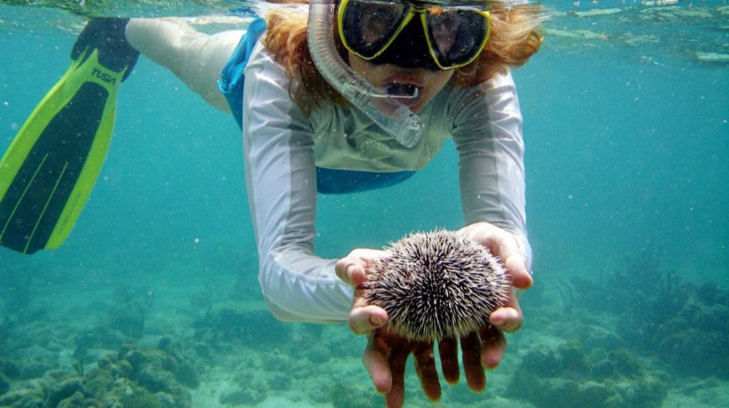 Du khách lặn ngắm san hô tại đảo Koh Phi Phi