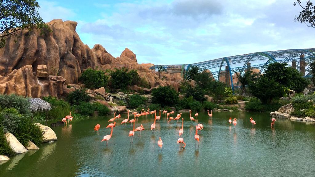 Chiêm ngưỡng hệ sinh thái tại vườn thú Quý Vương