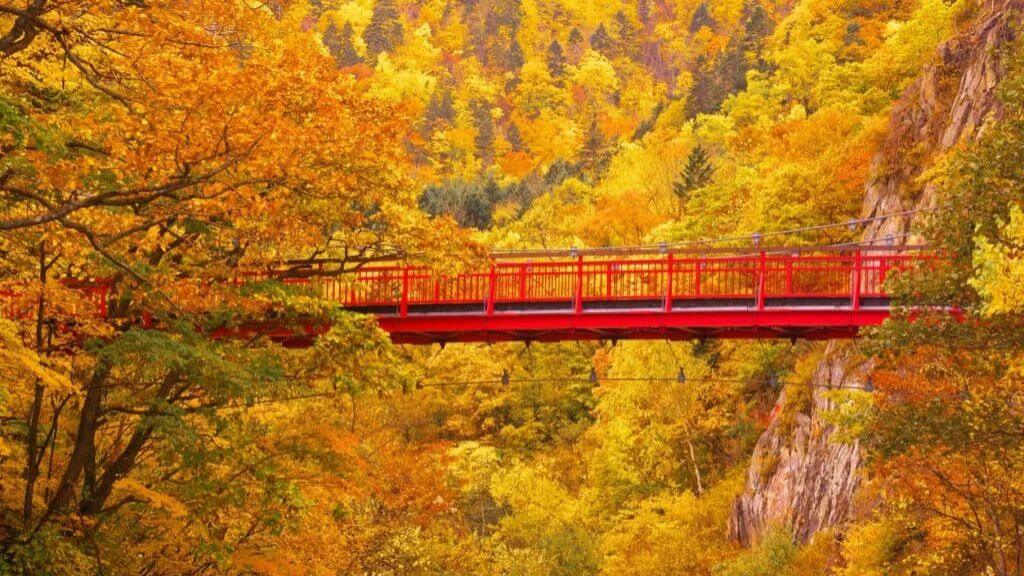 Thưởng ngoạn mùa thu Tohoku 8 ngày 7 đêm Aomori   Hirosaki   Miyagi   Tochigi