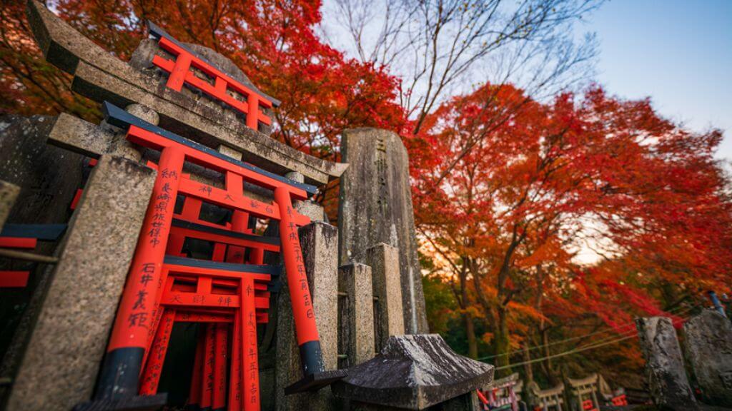 Hàng nghìn cổng Torii màu đỏ cam nối tiếp nhau