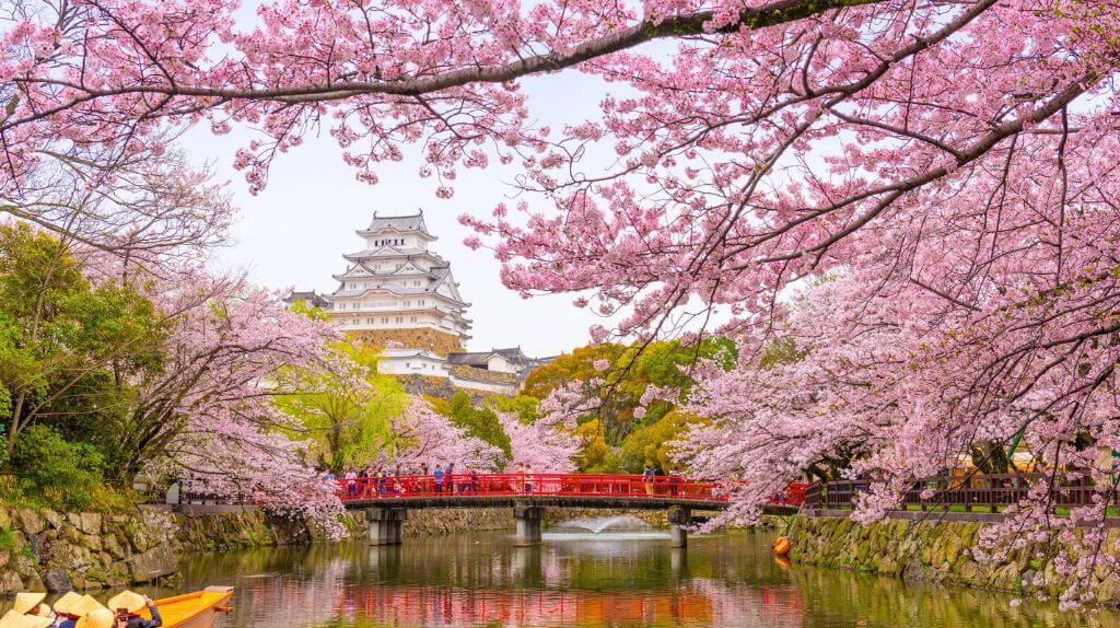 Một trong nhữung hình ảnh đẹp ở Hyogo