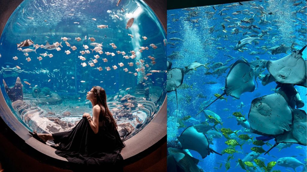 Tham quan thủy cung atlantis Đảo Hải Nam (goldensmile)