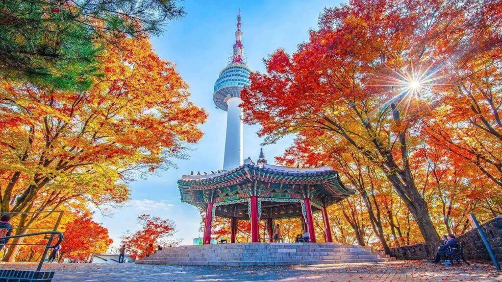 Du lịch Busan Hàn Quốc mùa thu lá đỏ