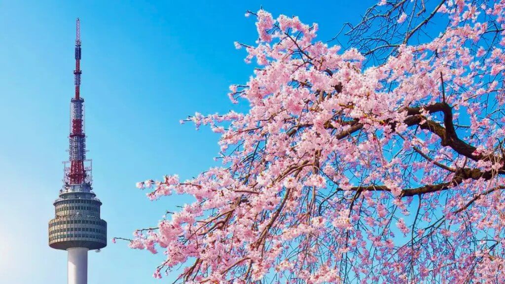 N Seoul Tower - Biểu tượng tình yêu của Seoul