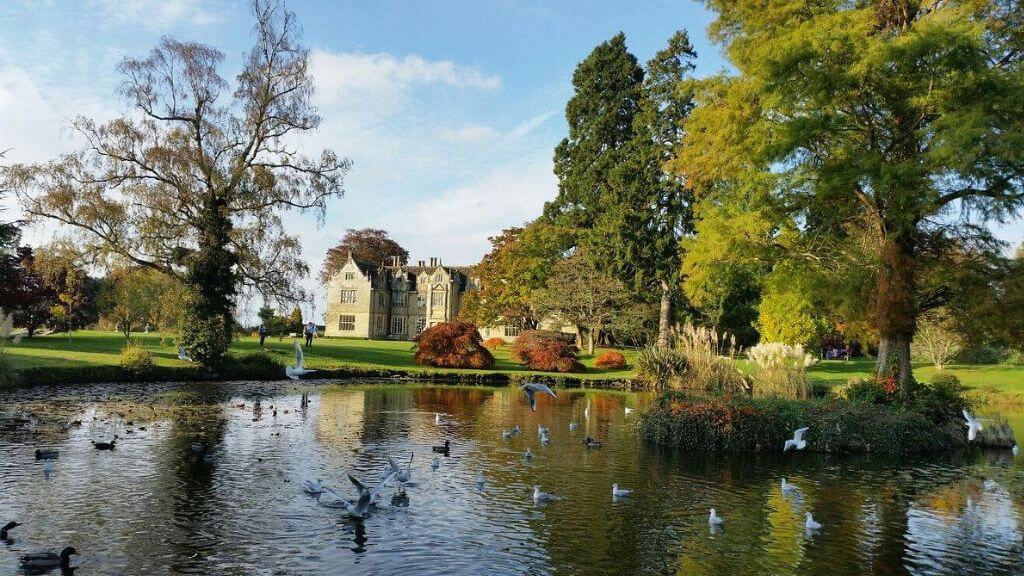 Wakehurst Place - Khu vườn thực vật hoang dã tại England