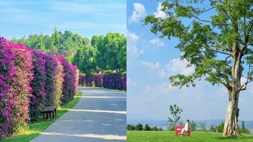 Góc check in yên bình tại Công viên vườn hồ Thái Bình