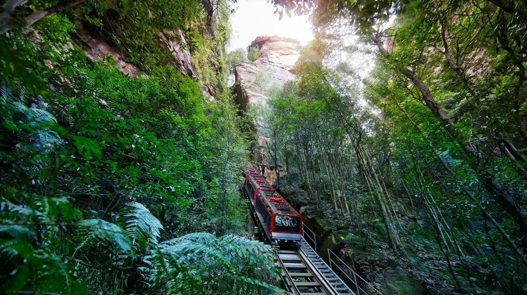 Ngắm Scenic World