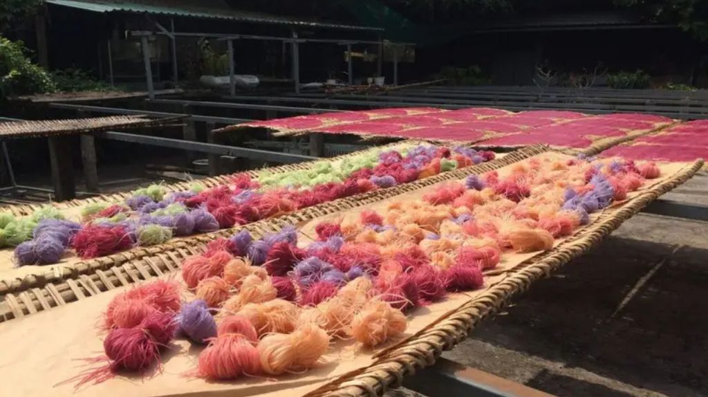 Tham quan lò bánh tráng, hủ tiếu