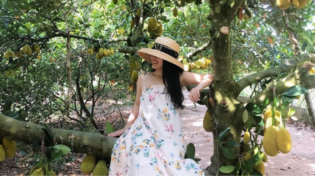 Du khách tham quan Vườn trái cây