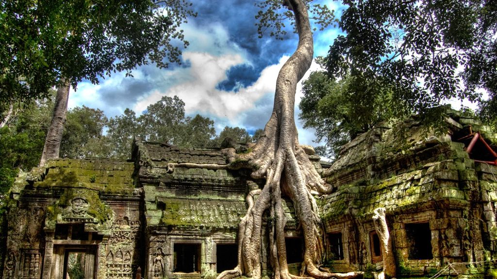 Đền Ta Prohm kỳ dị