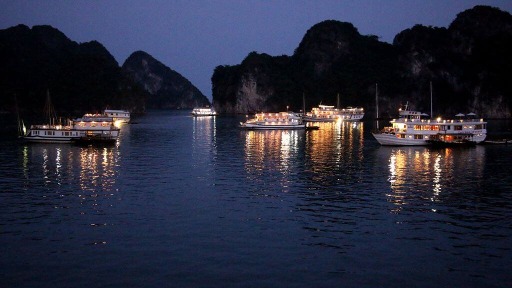 Trải nghiệm câu mực đêm tại vịnh