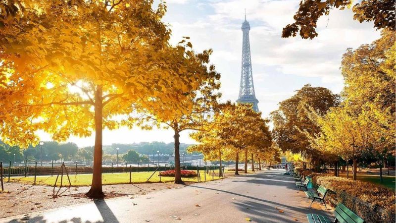 Paris trở nên lãng mạn hơn bao giờ hết vào mùa thu lá vàng