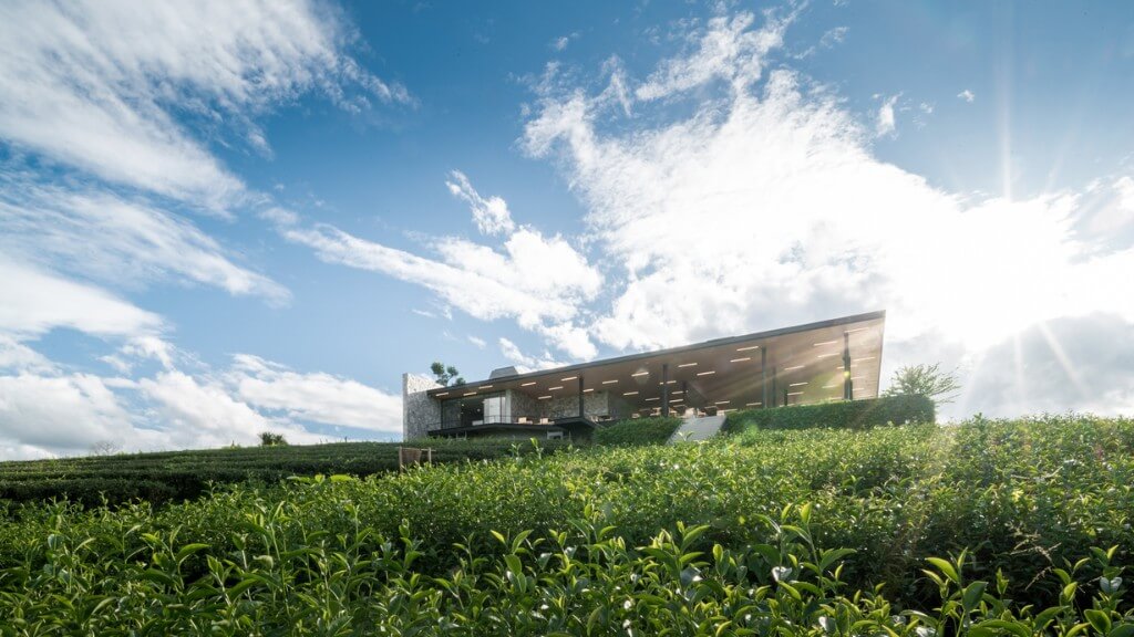 Thưởng thức trà hoặc cafe tại nhà hàng đồi chè Choui Fong