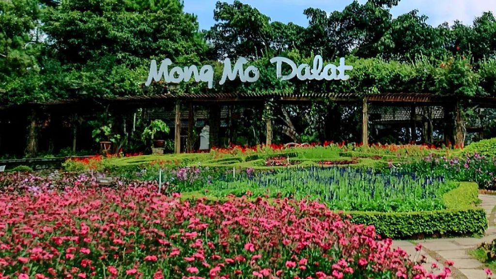 Đồi Mộng Mơ Đà Lạt – Thiên đường nghỉ dưỡng và văn hóa