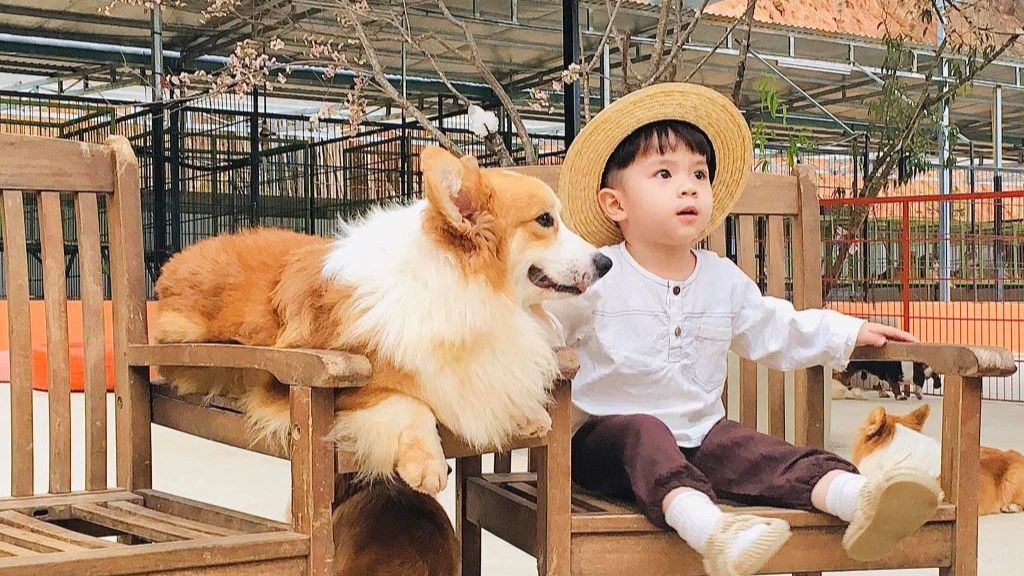Check - in cùng những chú cún siêu dễ thuơng