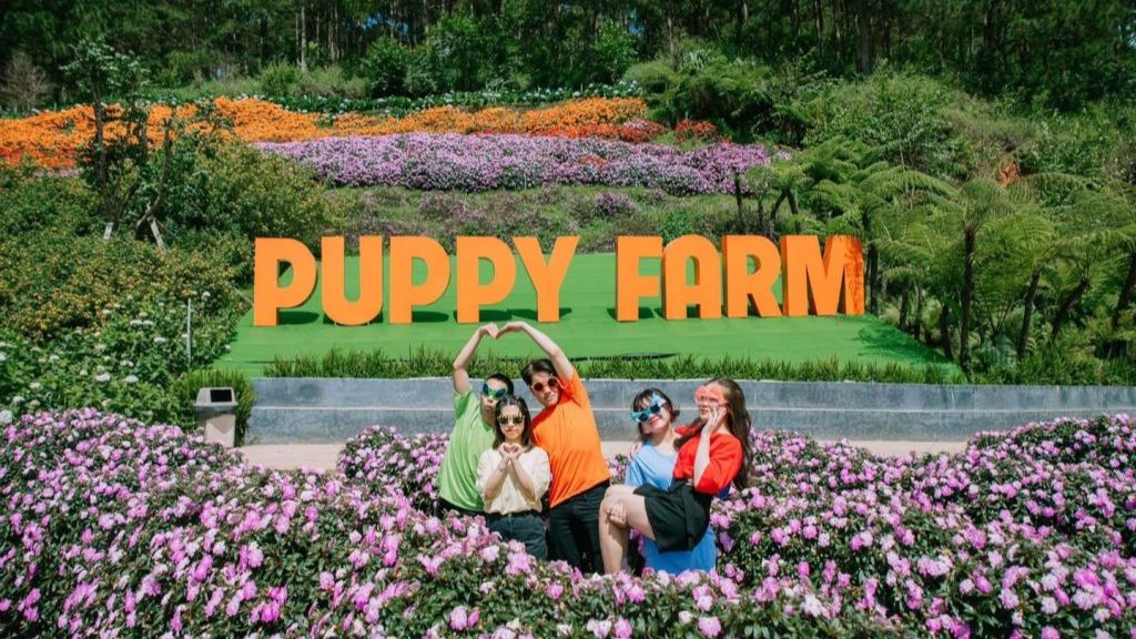 Vô vàn loài hoa khoe sắc tại Puppy farm