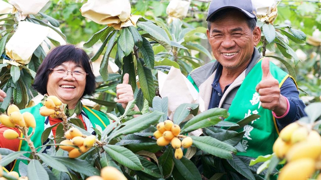 Trải nghiệm hái trái cây tại nông trại địa phương