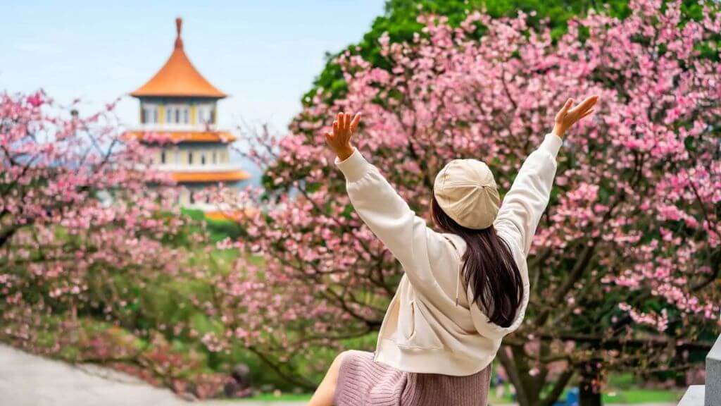 Đền Thiên Nguyên Cung - một trong những điểm ngắm hoa anh đào đẹp nhất