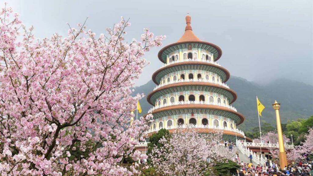 Chùa Phật Quang Sơn mùa hoa anh đào