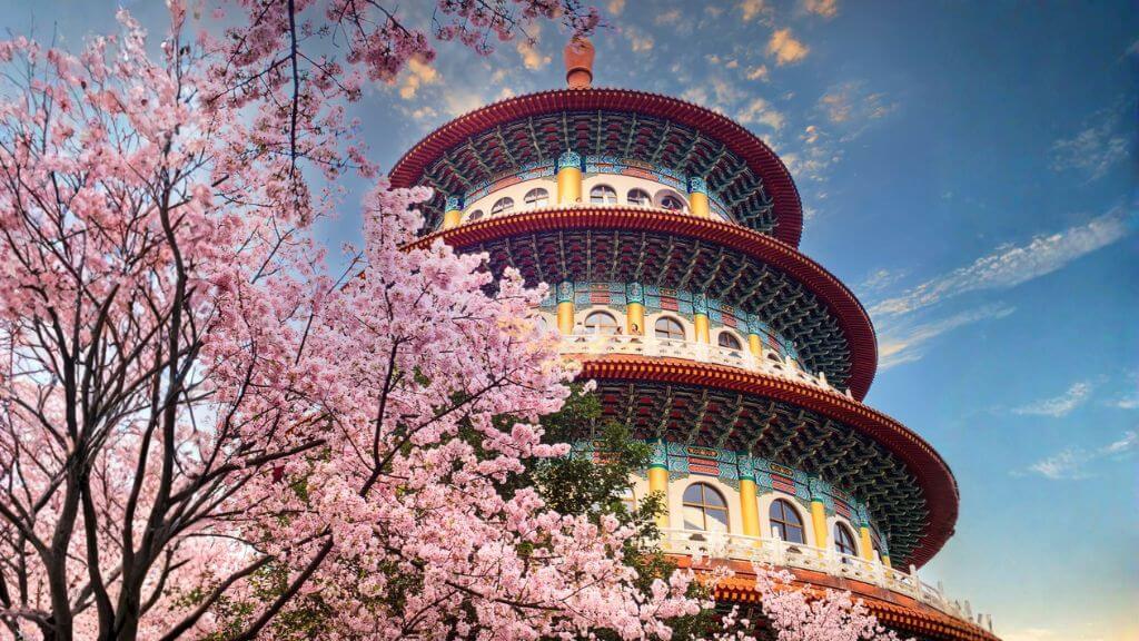 Đài Loan Mùa Hoa Anh Đào