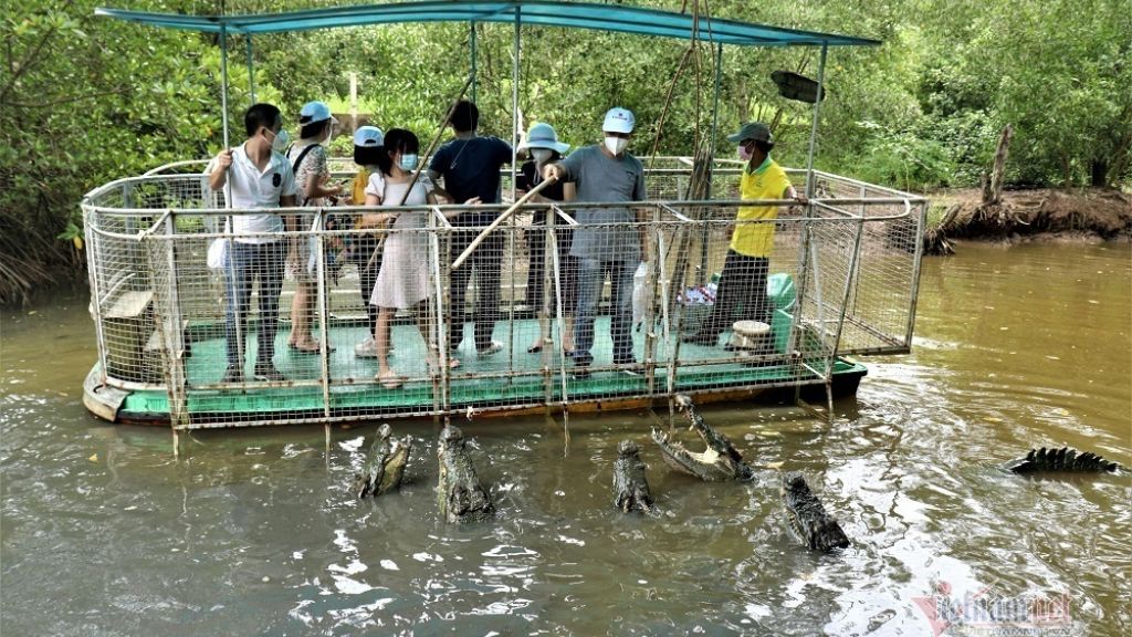Tour Đảo Khỉ Cần Giờ 1 Ngày: Rừng Ngập Mặn - Khu Bảo Tồn Cá Sấu - Căn ...